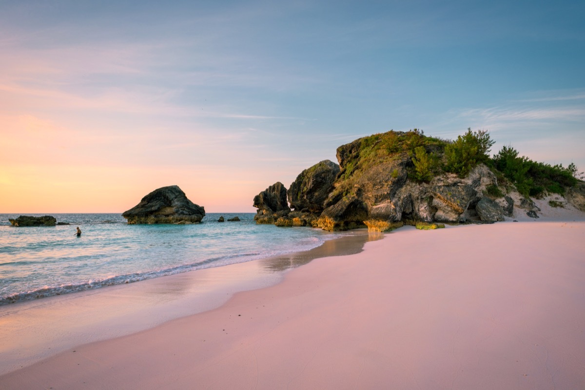 horse shoe bay pink sand beach in bermuda