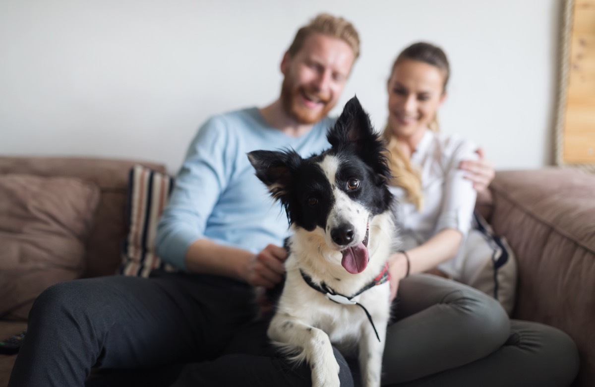 a couple on the couch with their dog