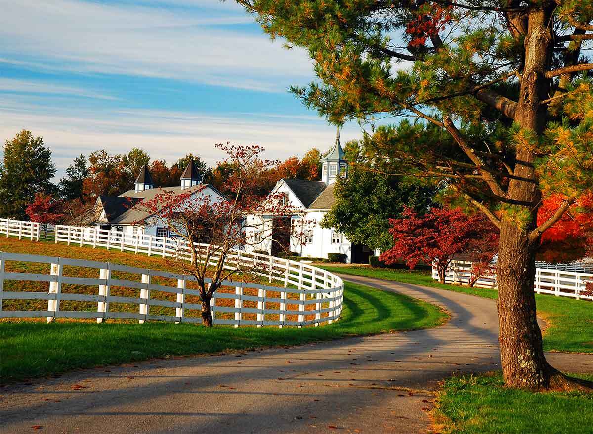 a road in kentucky's horse country