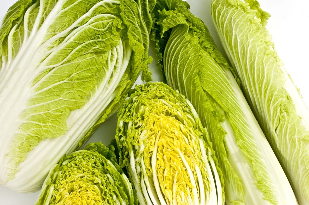 Nappa chinese cabbage