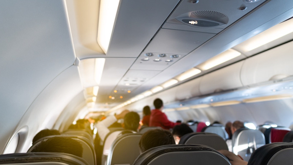 The back view of the person sitting in the plane