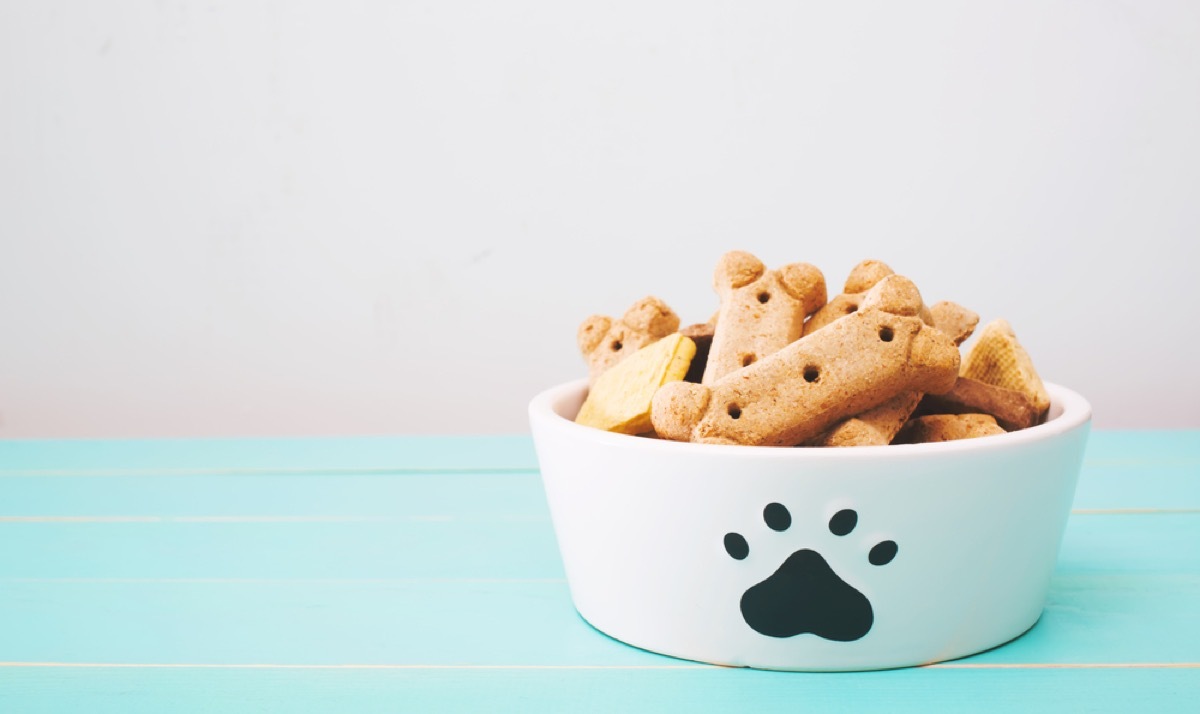 white bowl of dog bones on green table