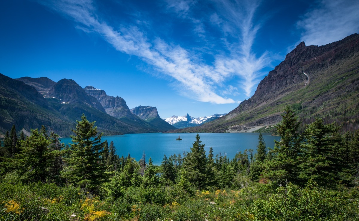 Going-to-the-Sun Road, Lake, Midwest USA, Montana - Western USA, Plant