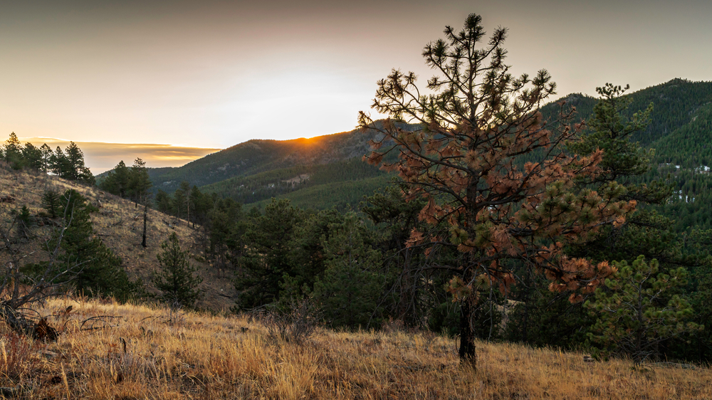 A picture of Golden Gate State Park at sunset