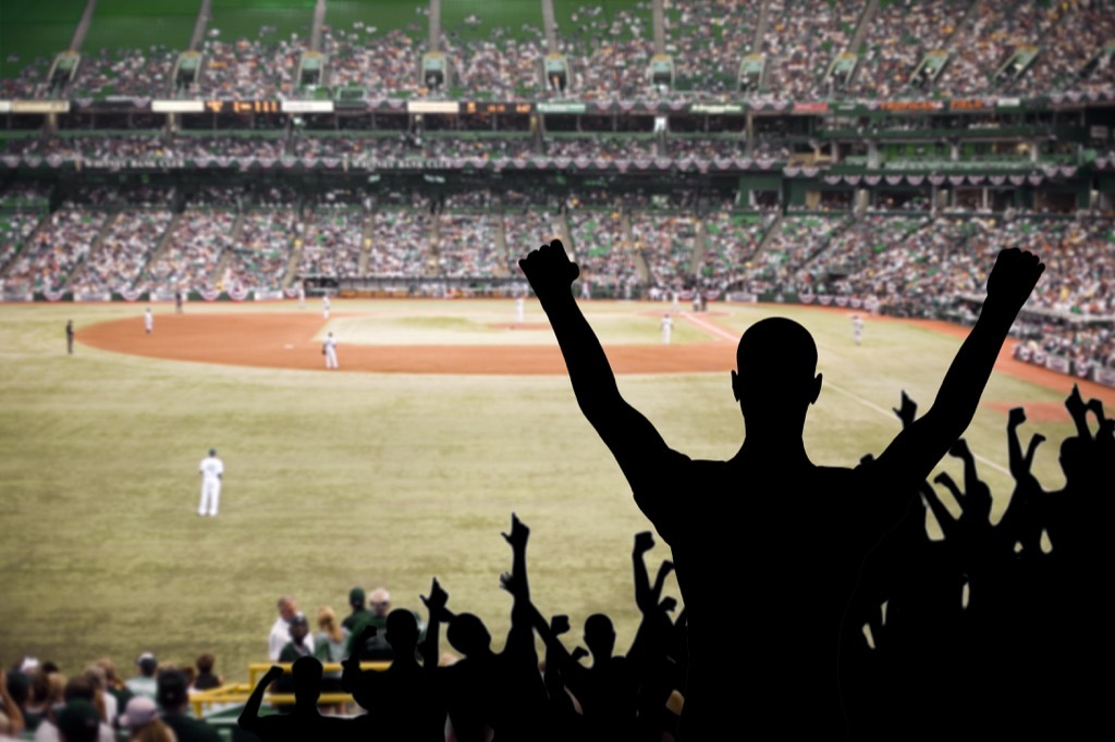 fan celebrating a baseball game