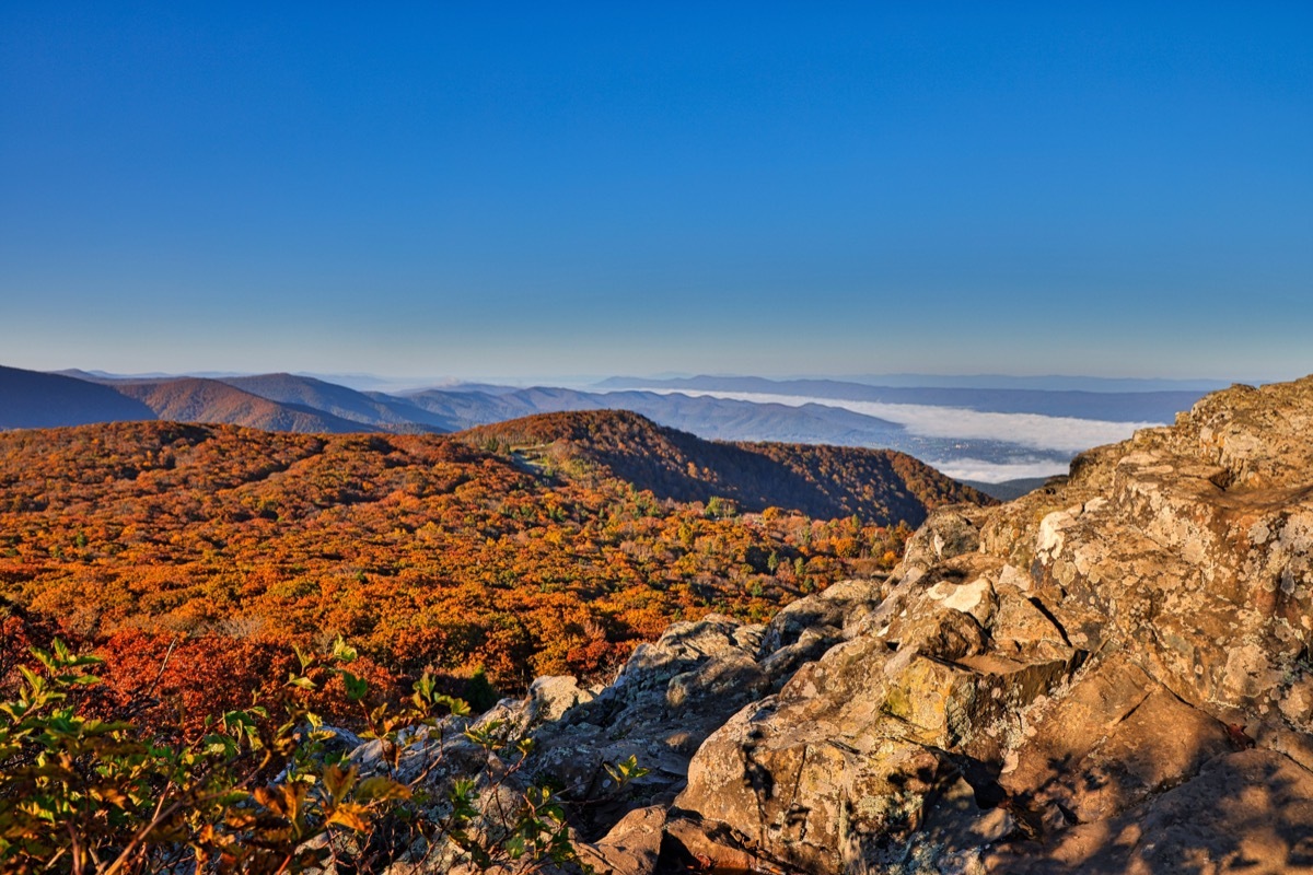 fall colors at shenandoah national park