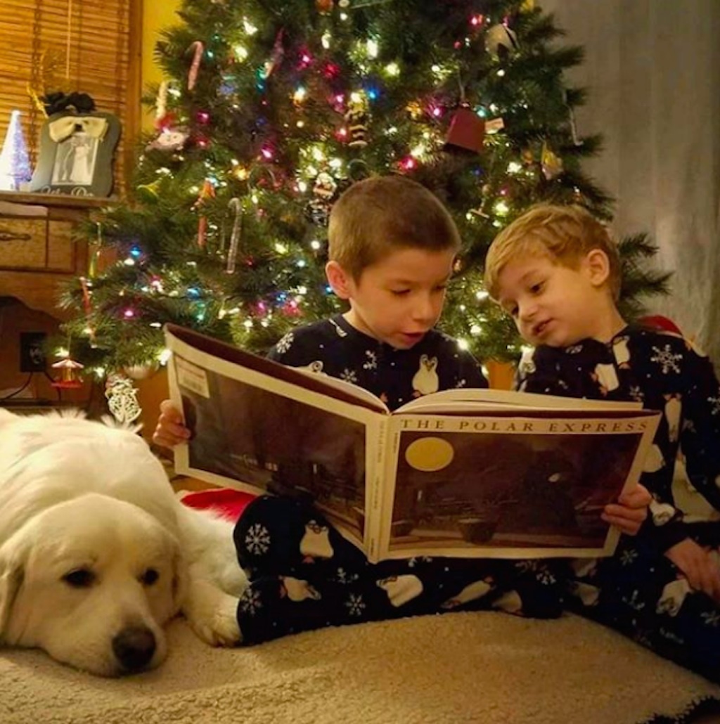 dogs excited about christmas