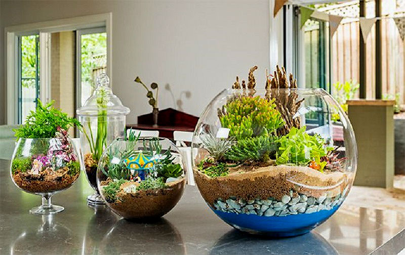 7. Create diy terrarium