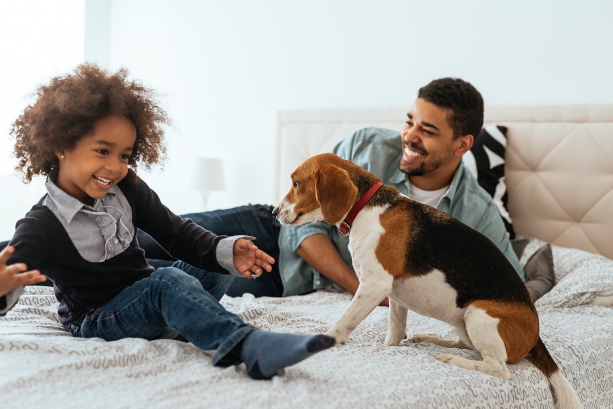 father and daughter spending time together with a dog on a bed