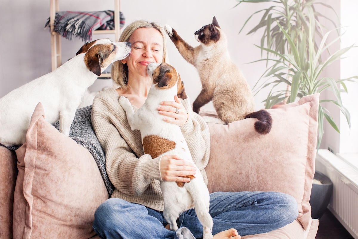 A happy blonde woman on her couch playing with her two dogs and cat.