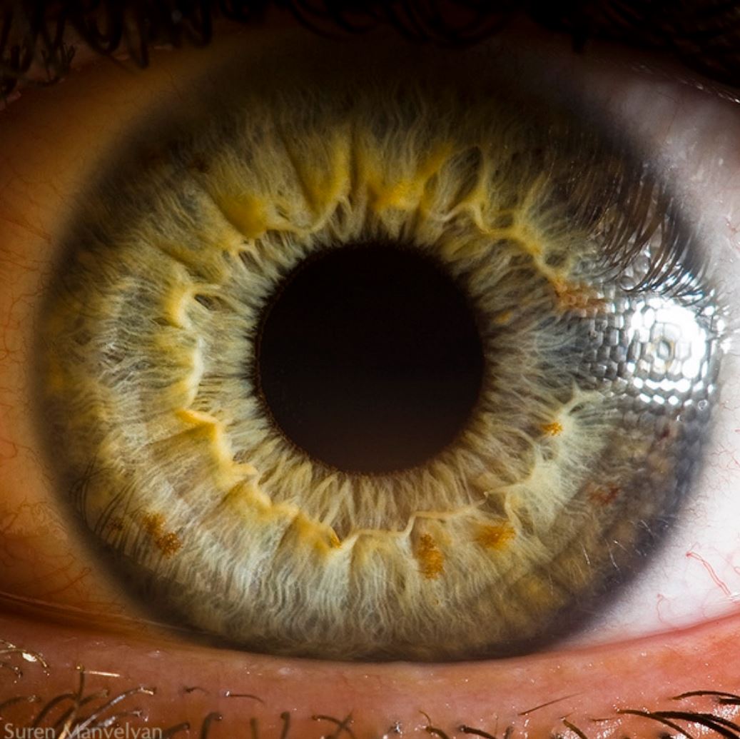 extreme-closeups-of-human-eyes-are-creepy-but-stunning-06