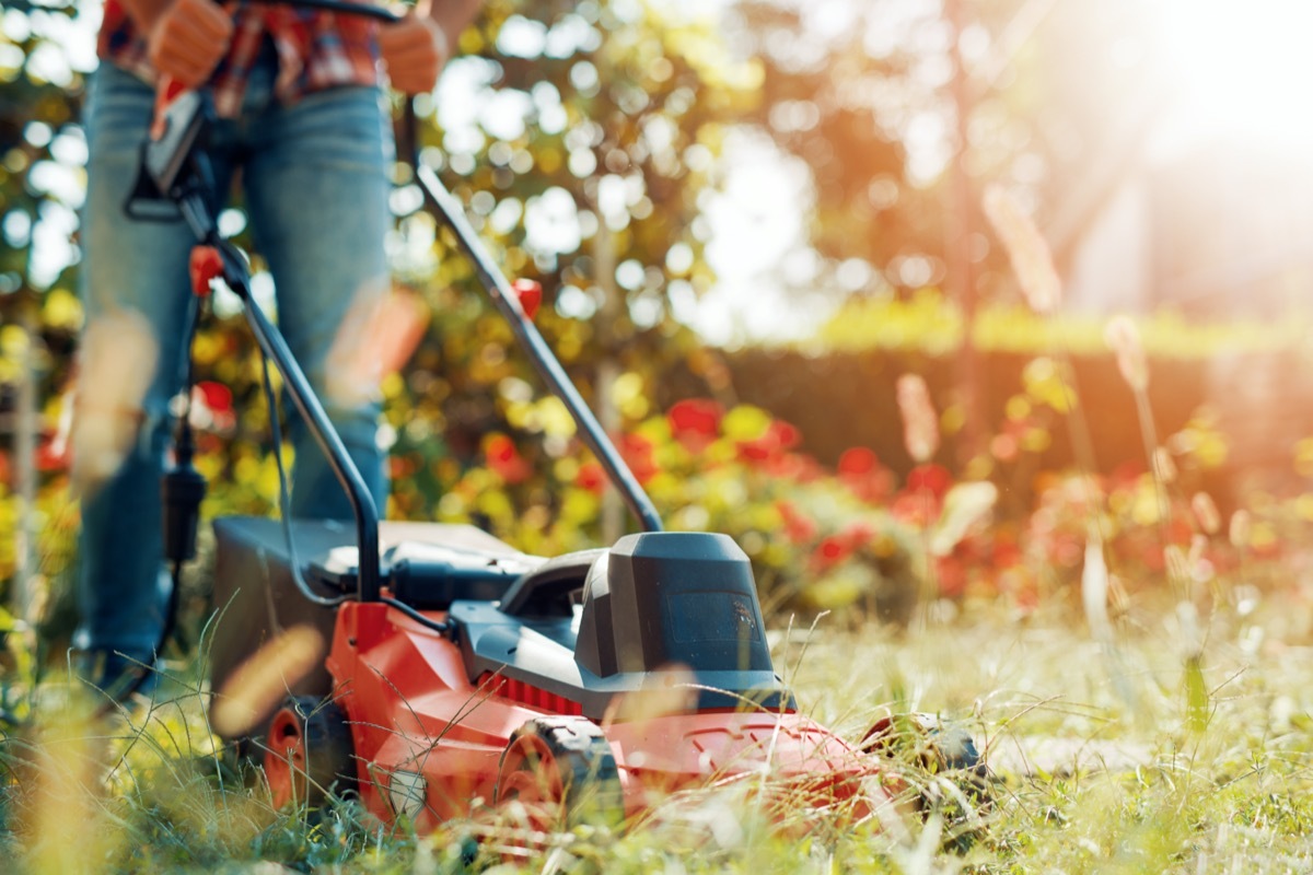 Close up of mower cutting the grass.