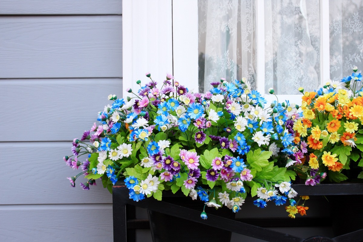 Window and flower box outside a home