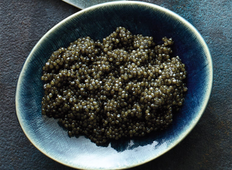 Russian sturgeon caviar