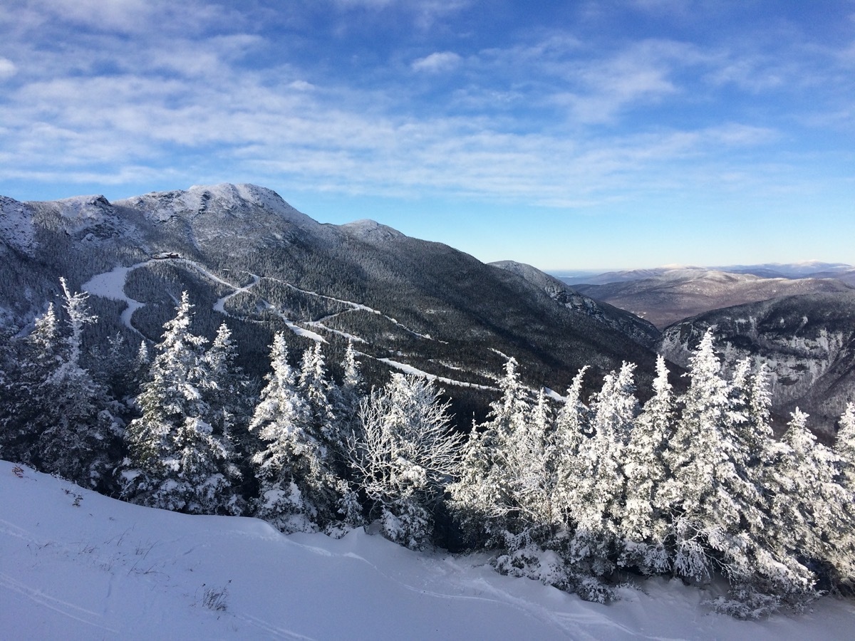 snow covered trees and mountains