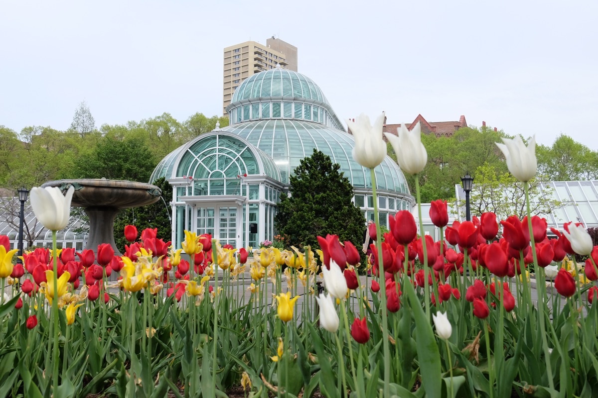 Brooklyn Botanical Gardens