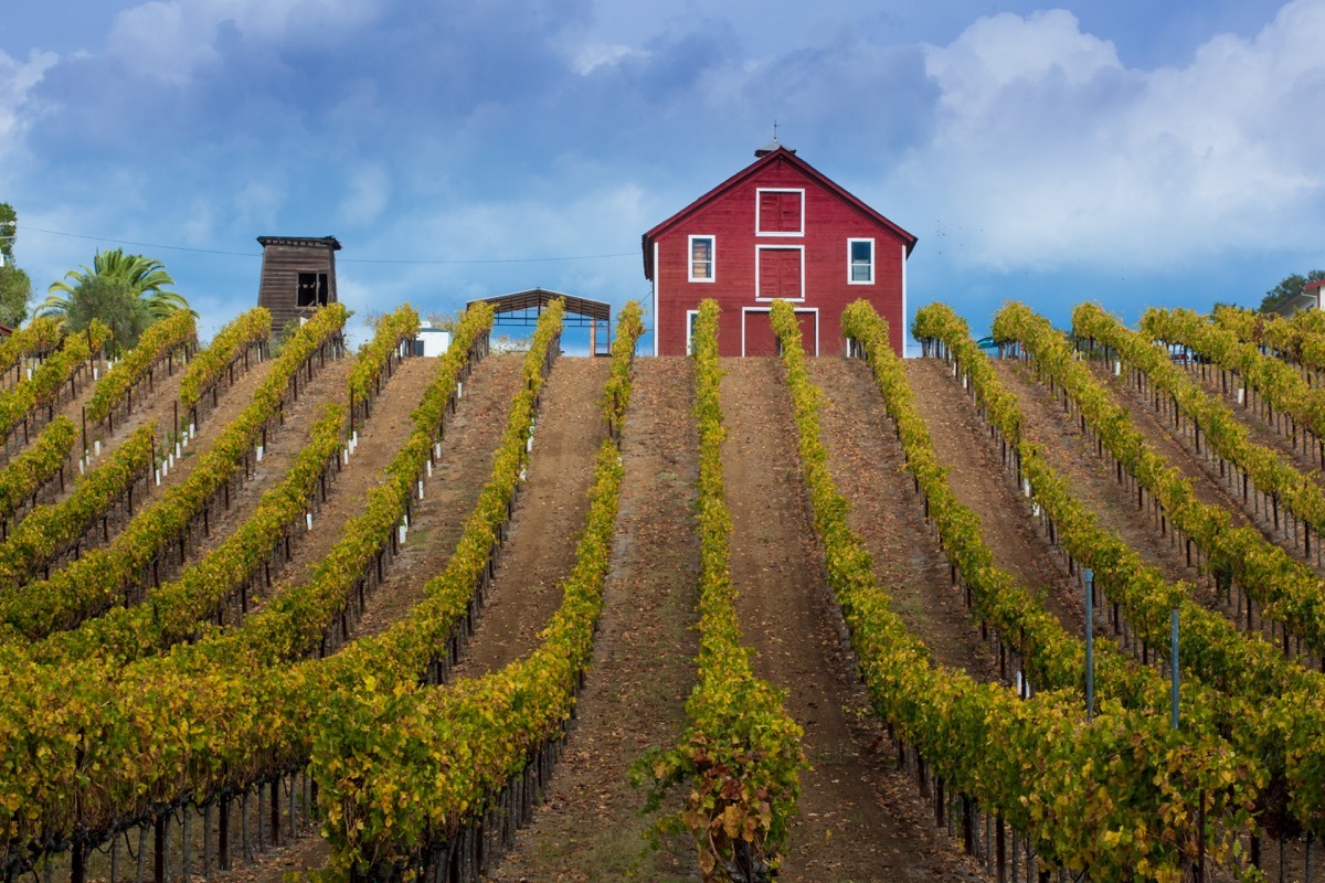 red farmhouse and rows of crops