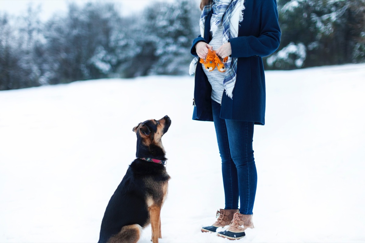 pregnant woman with dog things you never knew dogs could do