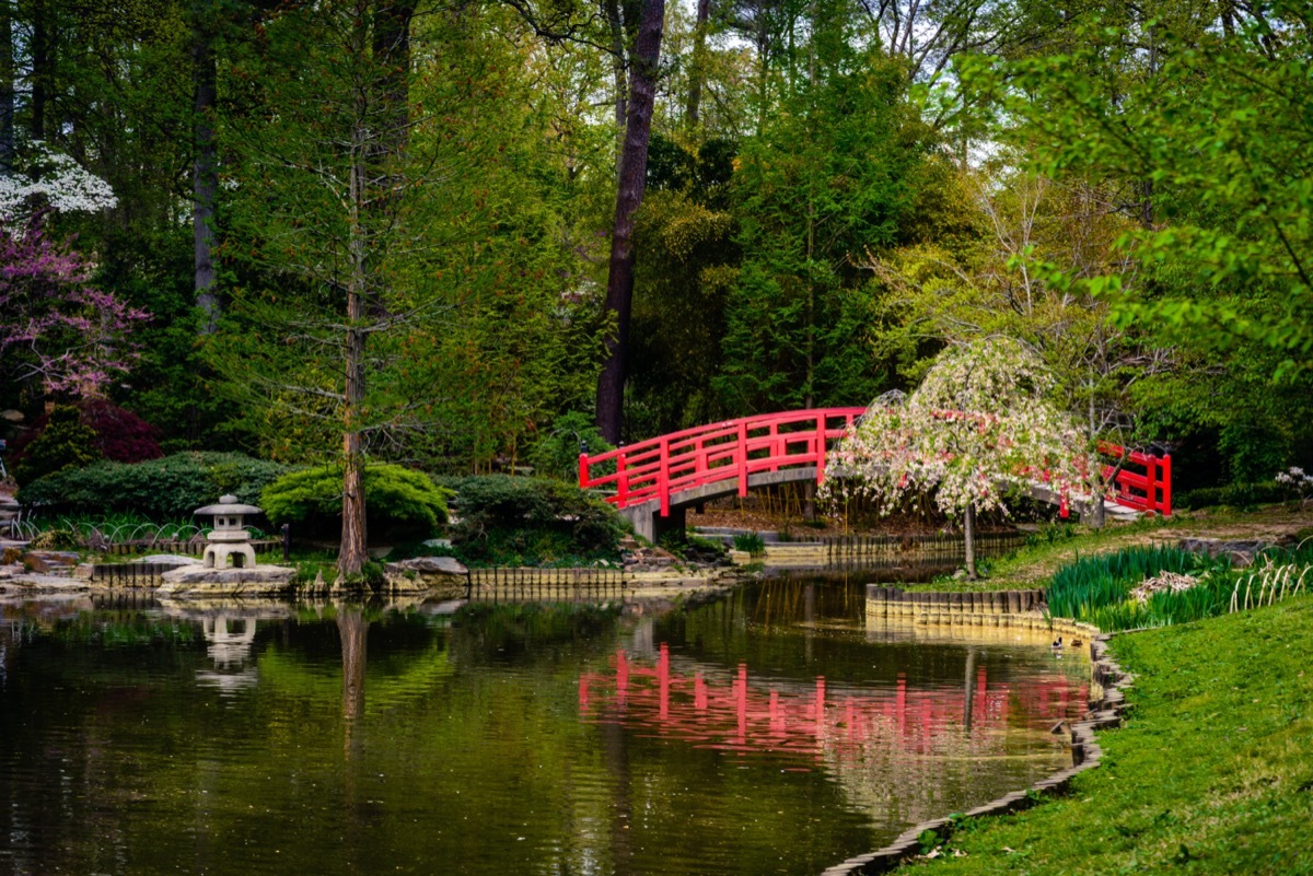 A red concrete bridge over a pond leading to the Sarah P. Gardens at Duke University in Durham, North Carolina