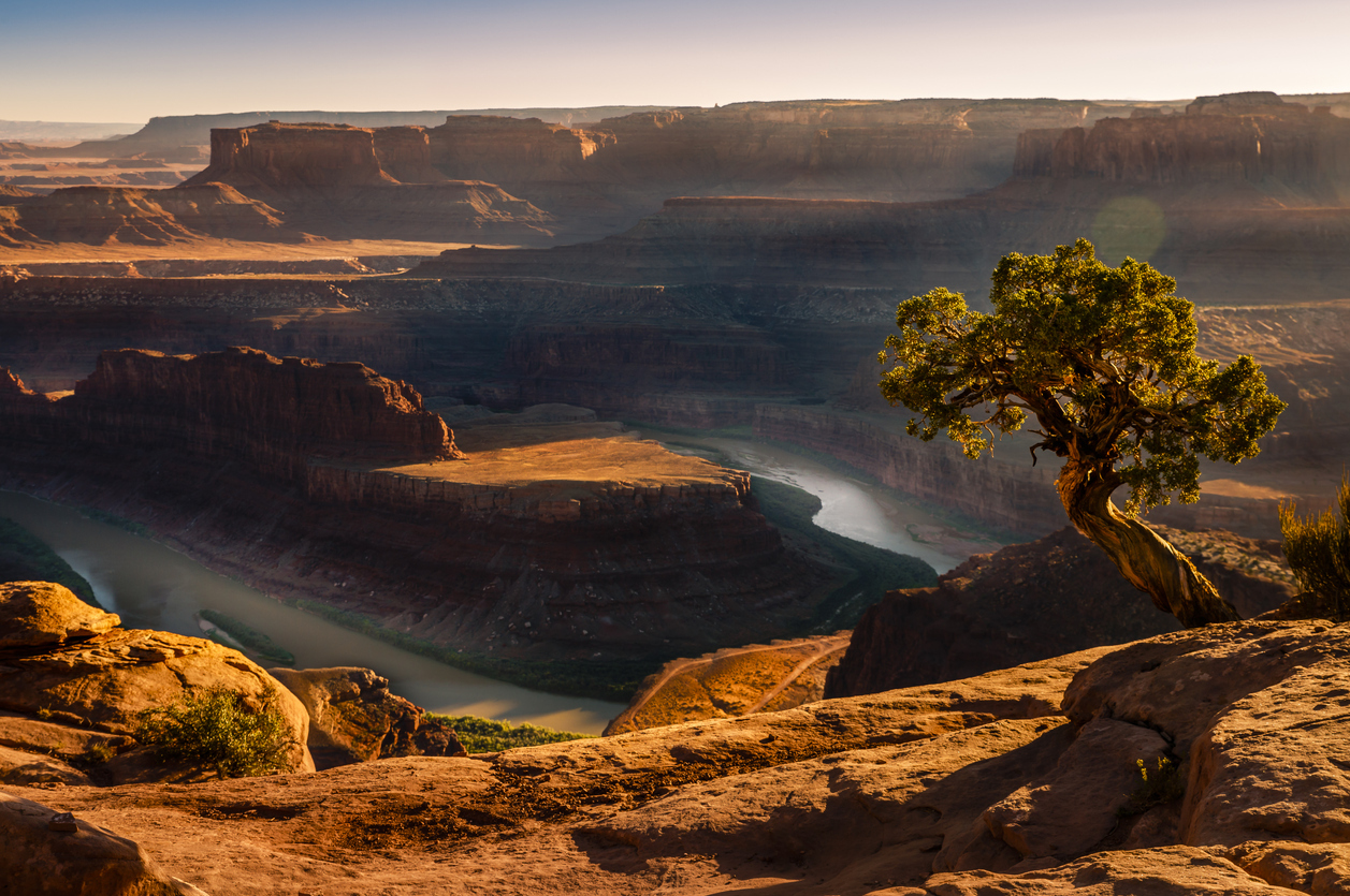 A view of the Colorado River in Dead Horse Point State Park