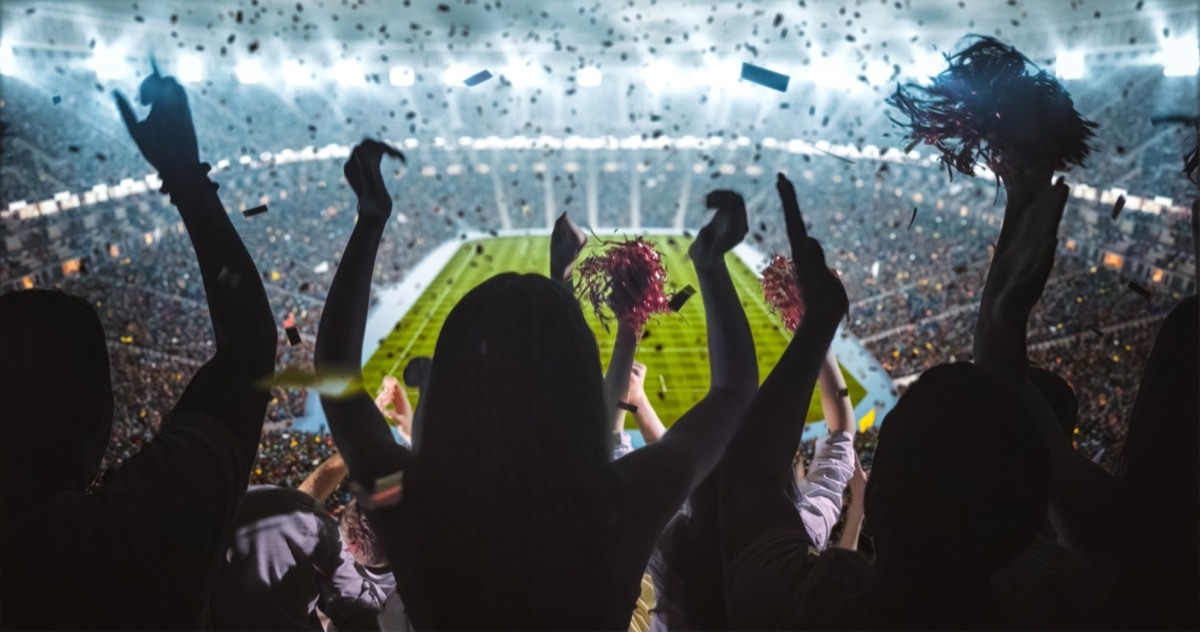 Fans cheering in the stands and looking at the football field during a game