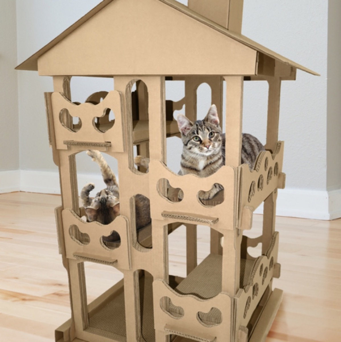 tabby cats inside cardboard cat house, cat playground