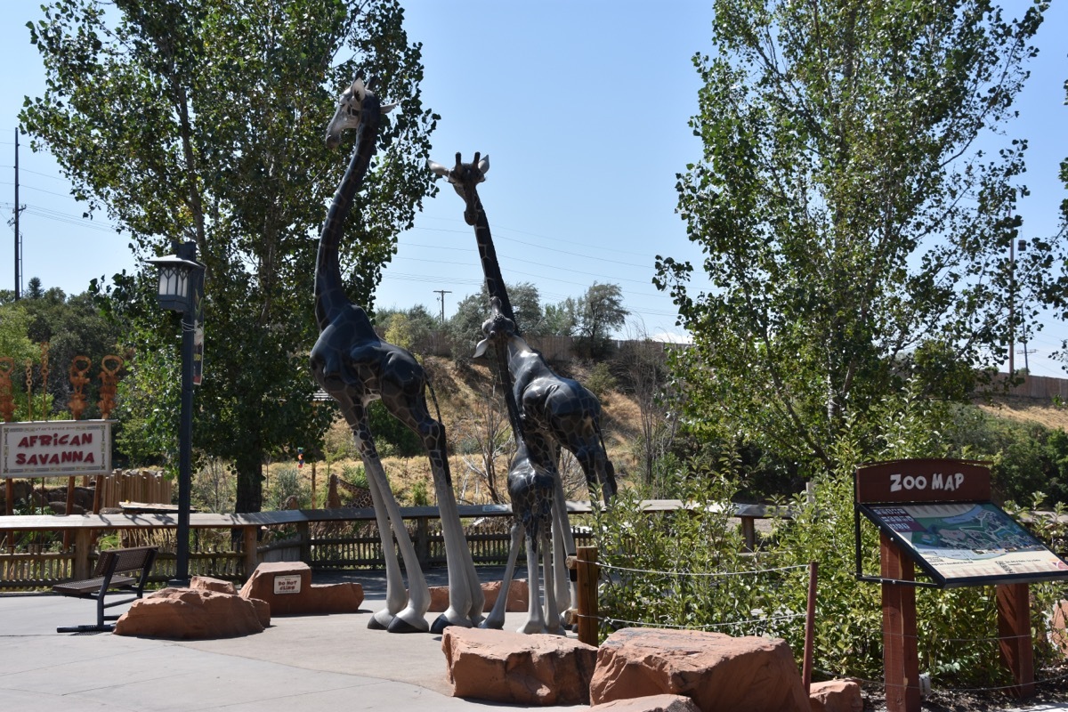 Hogle Zoo in Utah