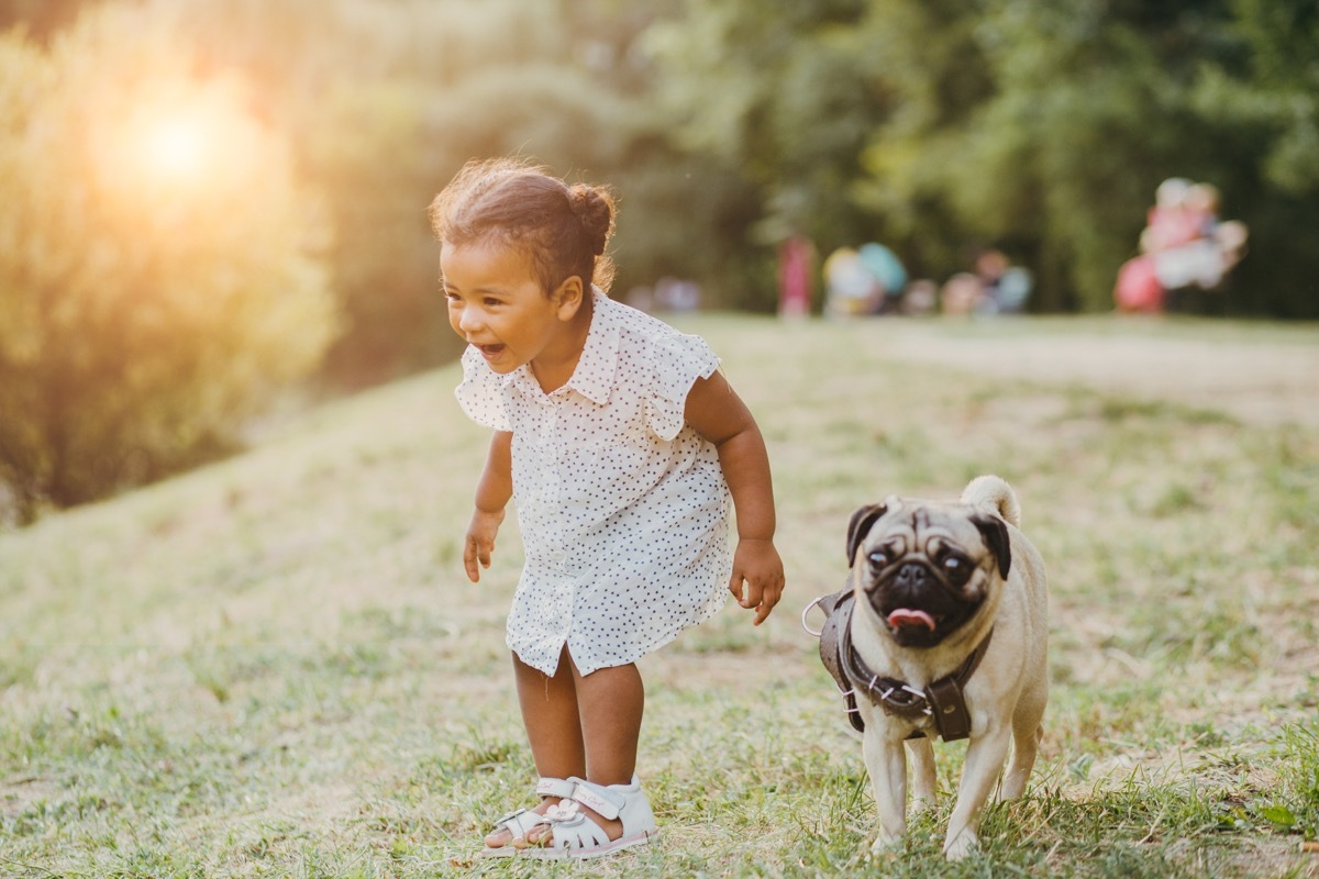 Pug and little girl