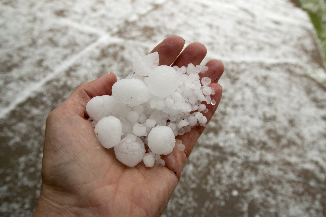 A person's hand holding hailstones after a storm