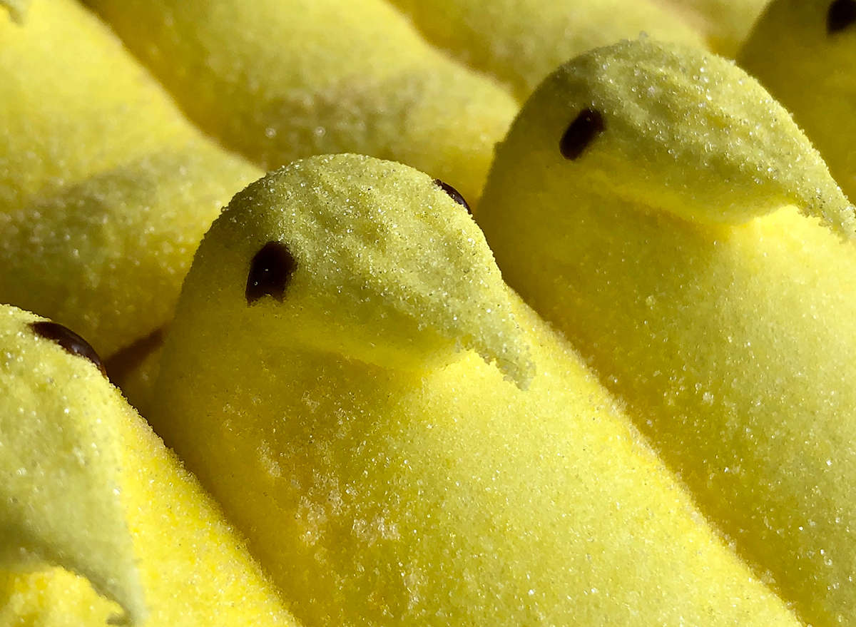 closeup of yellow marshmallow peeps chicks