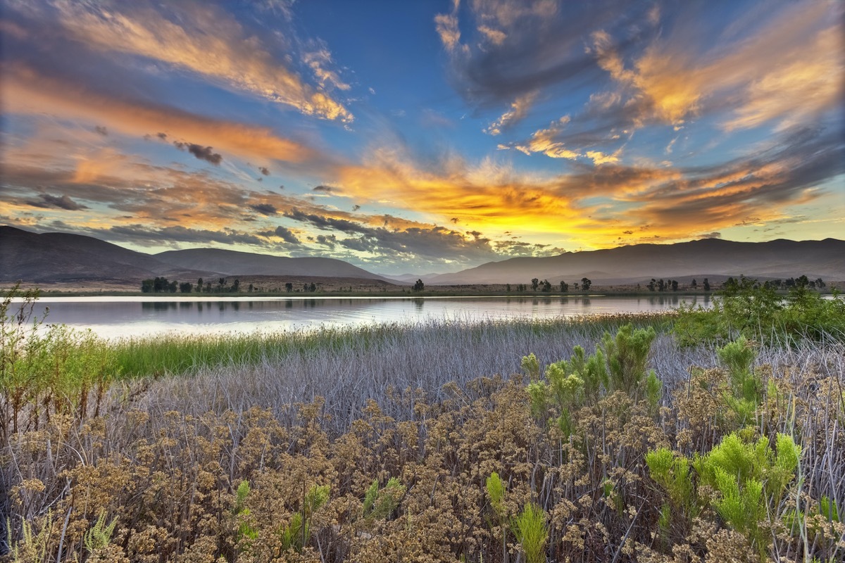 a lake, flowers, and mountains in Chula Vista, California at sunrise