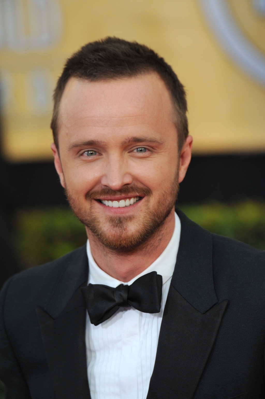 Aaron Paul