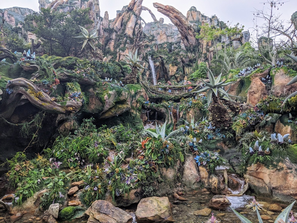 avatar flight of passage exterior, disney ride