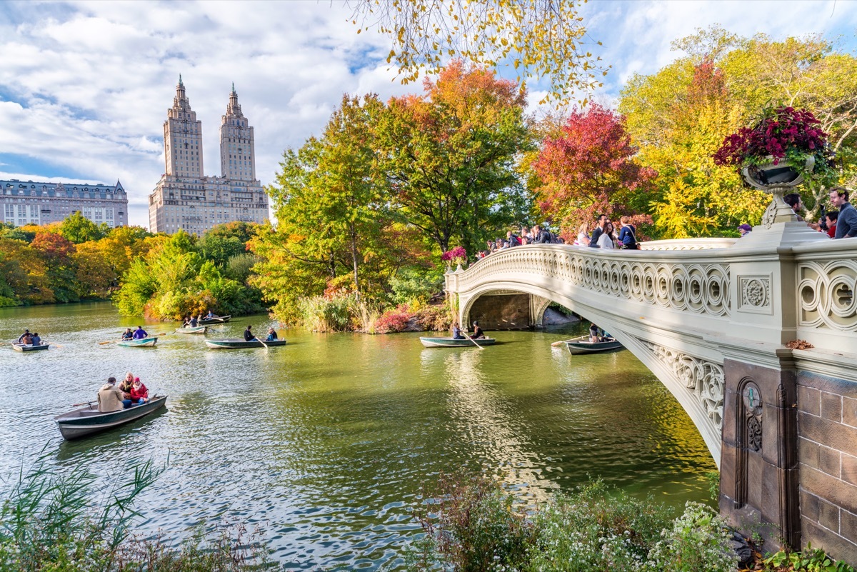 new york city, central park, lake, bridge