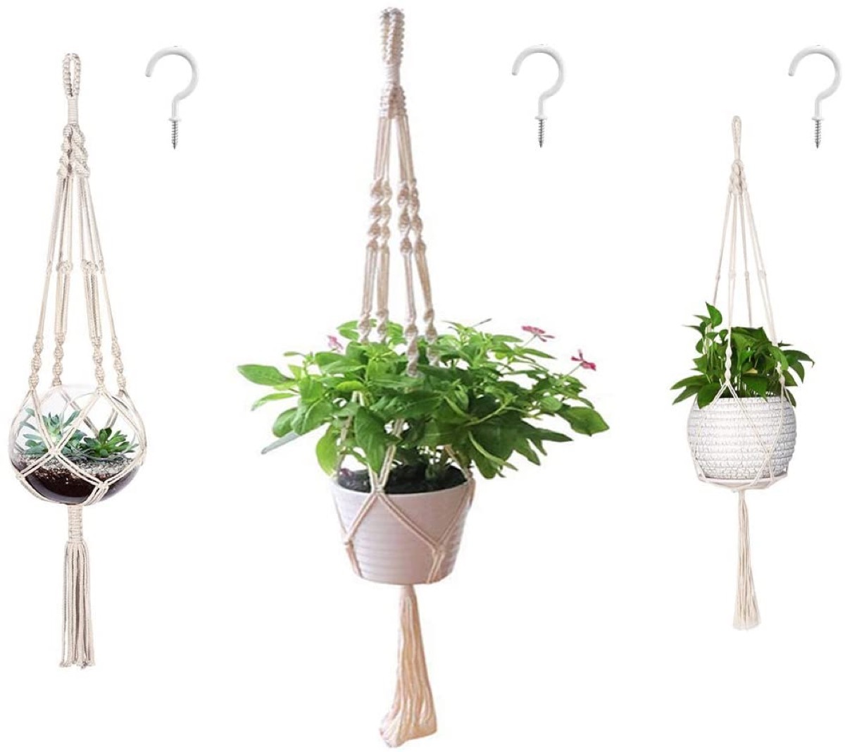 Macrame plant hangers