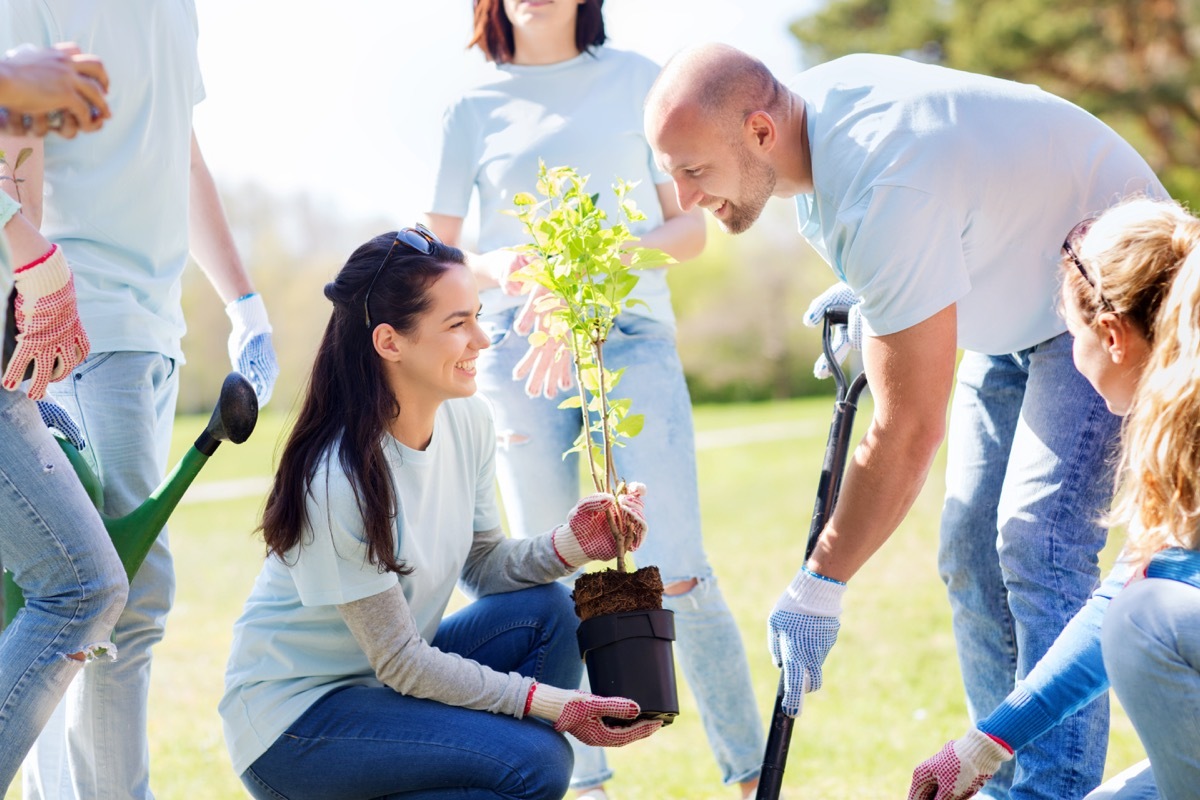 Volunteering planting a cheer