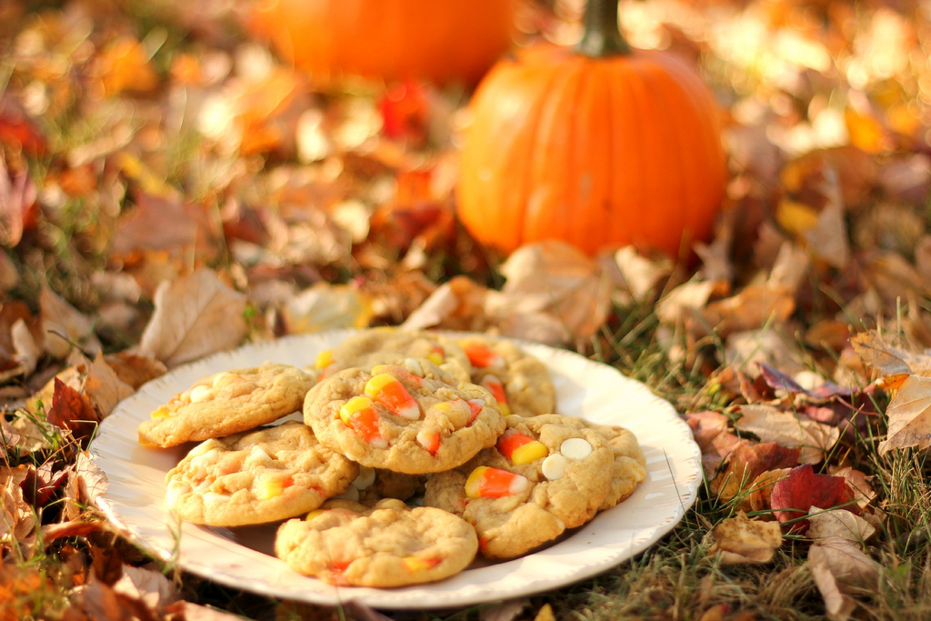 6.Pumpkin season