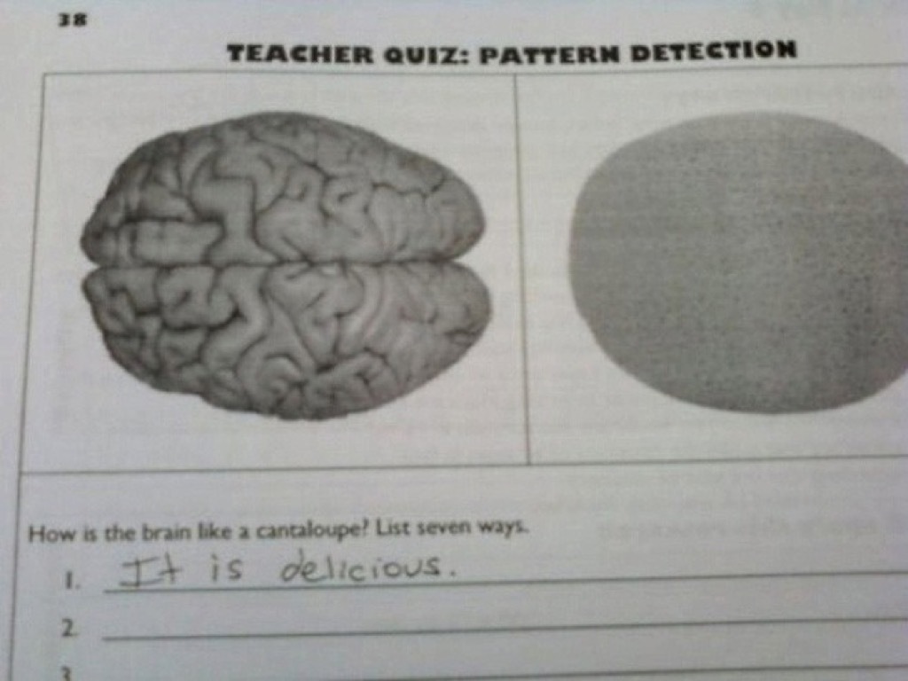 Canteloupe brain funny kid's hilarious assignments