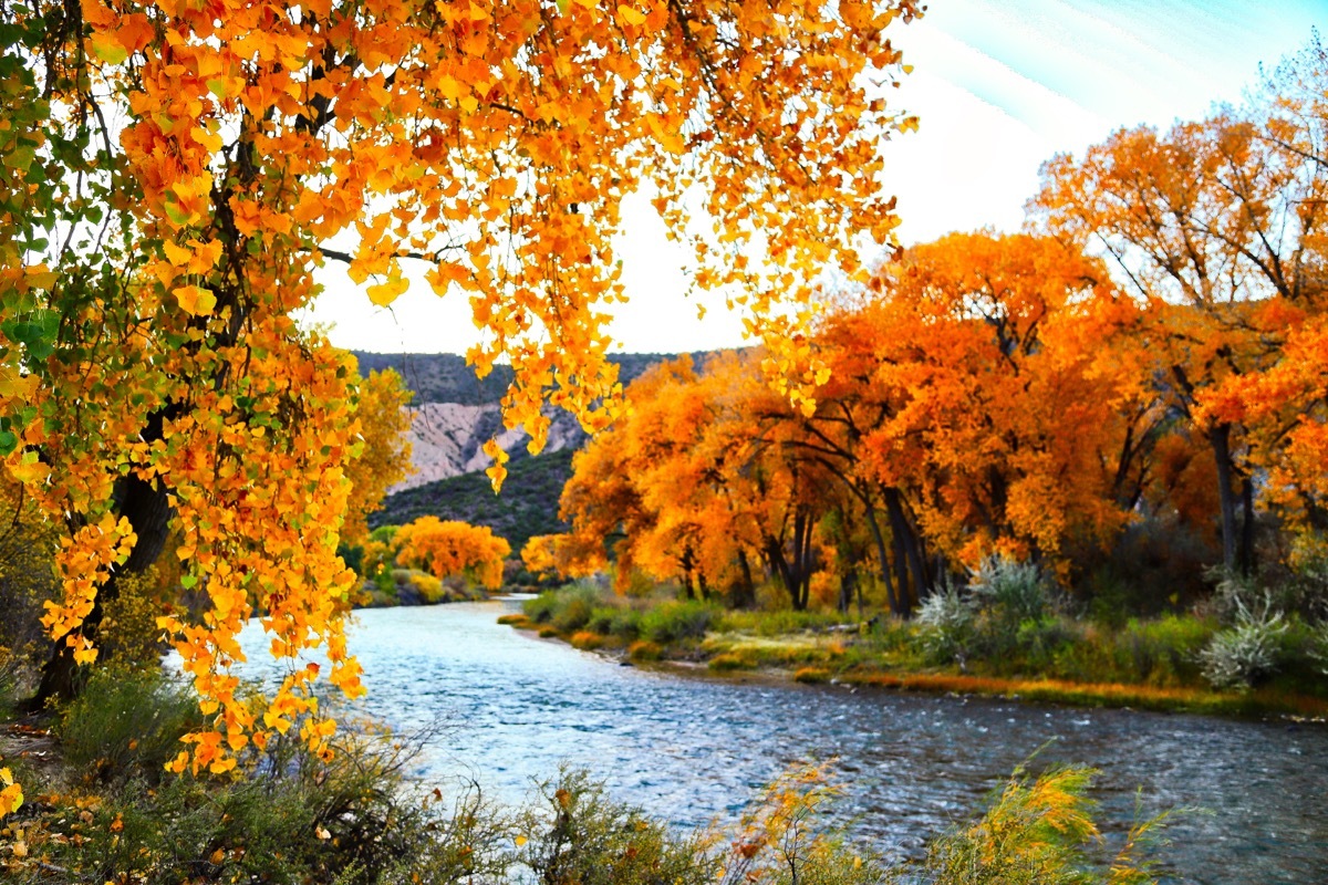 fall along the rio grande river new mexico