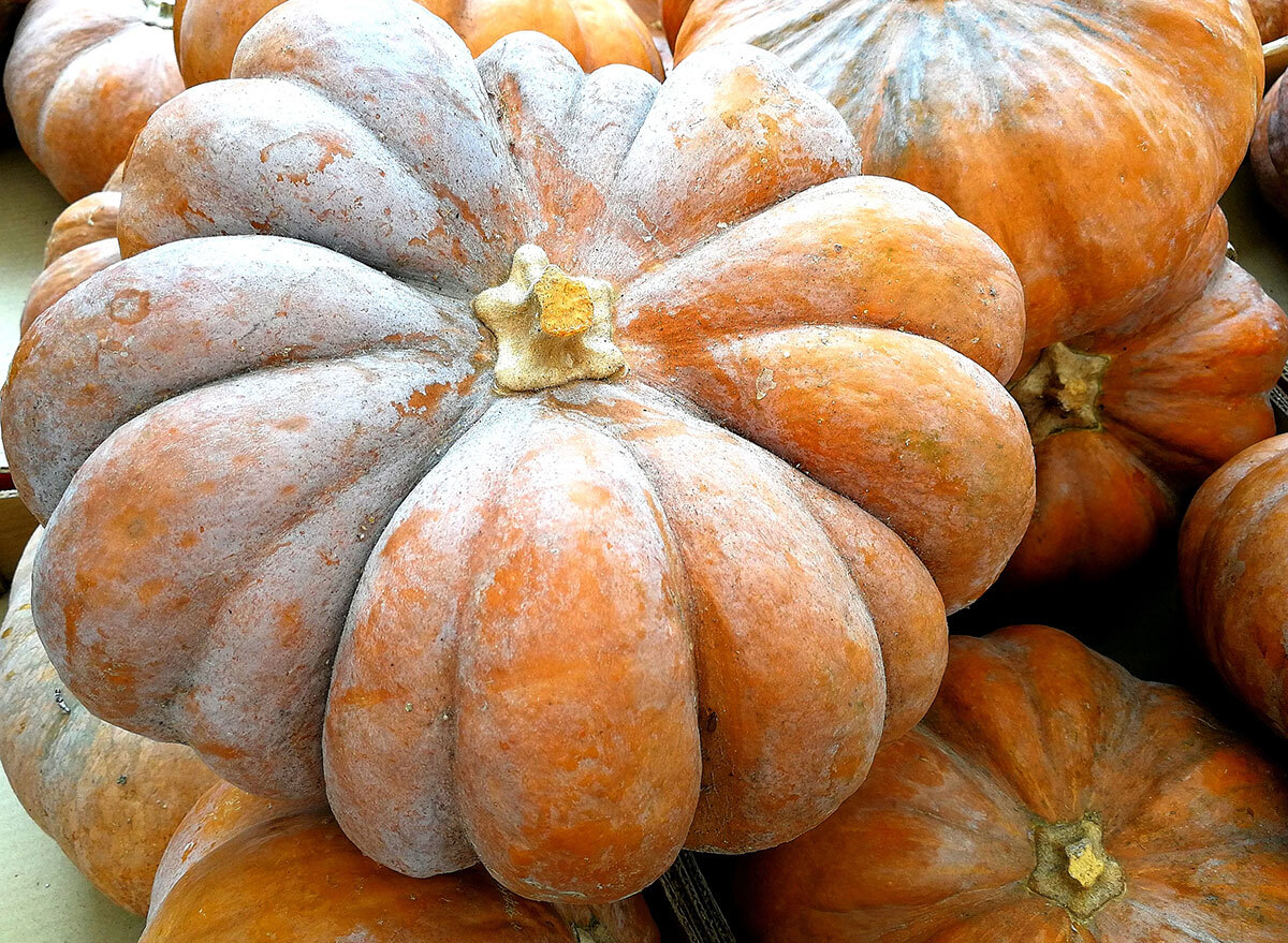 fairytale squash close up