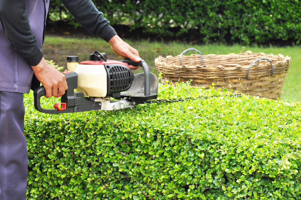 Man Trimming Shrubs Boosting Your Home's Curb Appeal