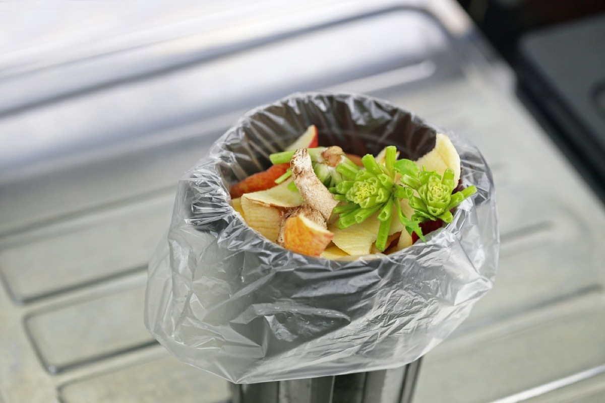 kitchen trash can things in your house attracting pests