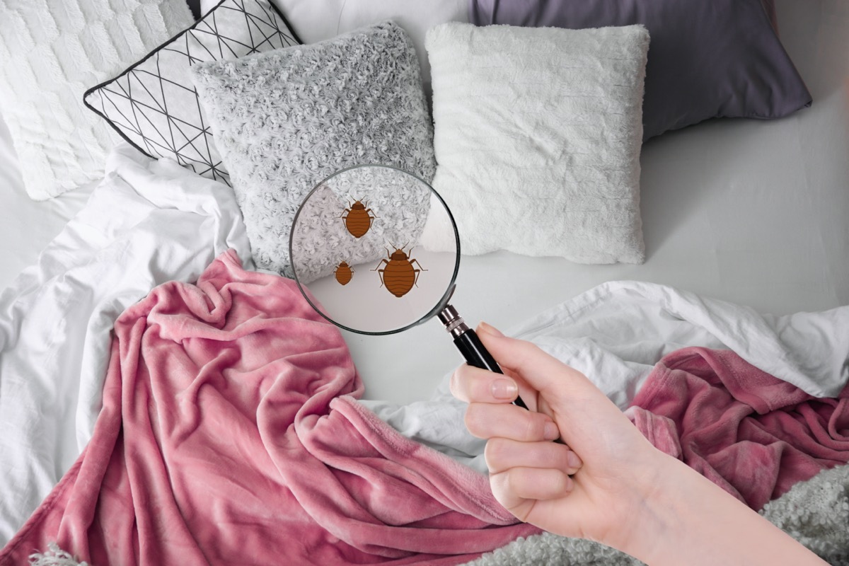 woman using magnefying glass for bugs on her bed