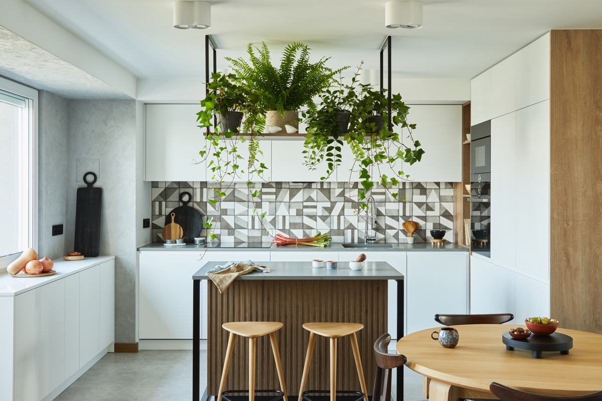 Stylish kitchen interior design with dining space. Workspace with kitchen accessories on the back ground. Creative walls with woode pannels. Minimalistic style an plant love concept.