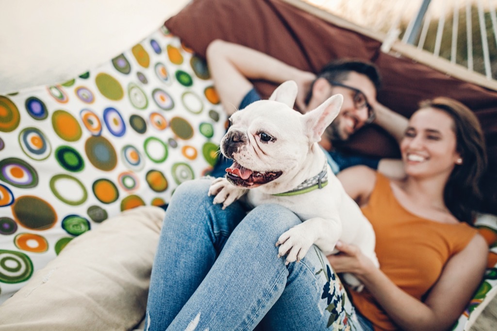 cute dog on parents' lap