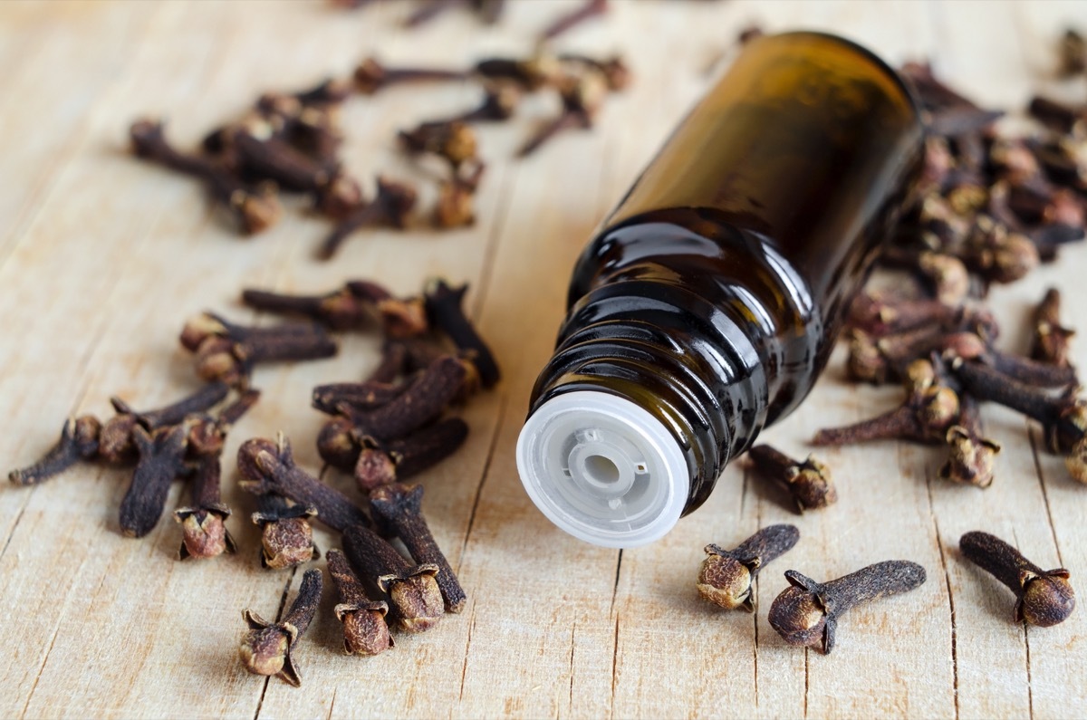 clove extract