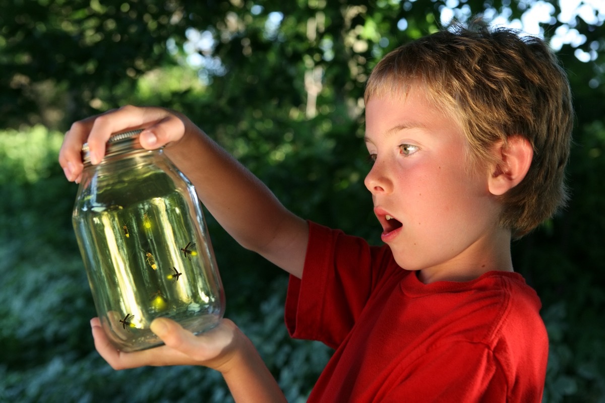 Boy catching fireflies in a mason jar