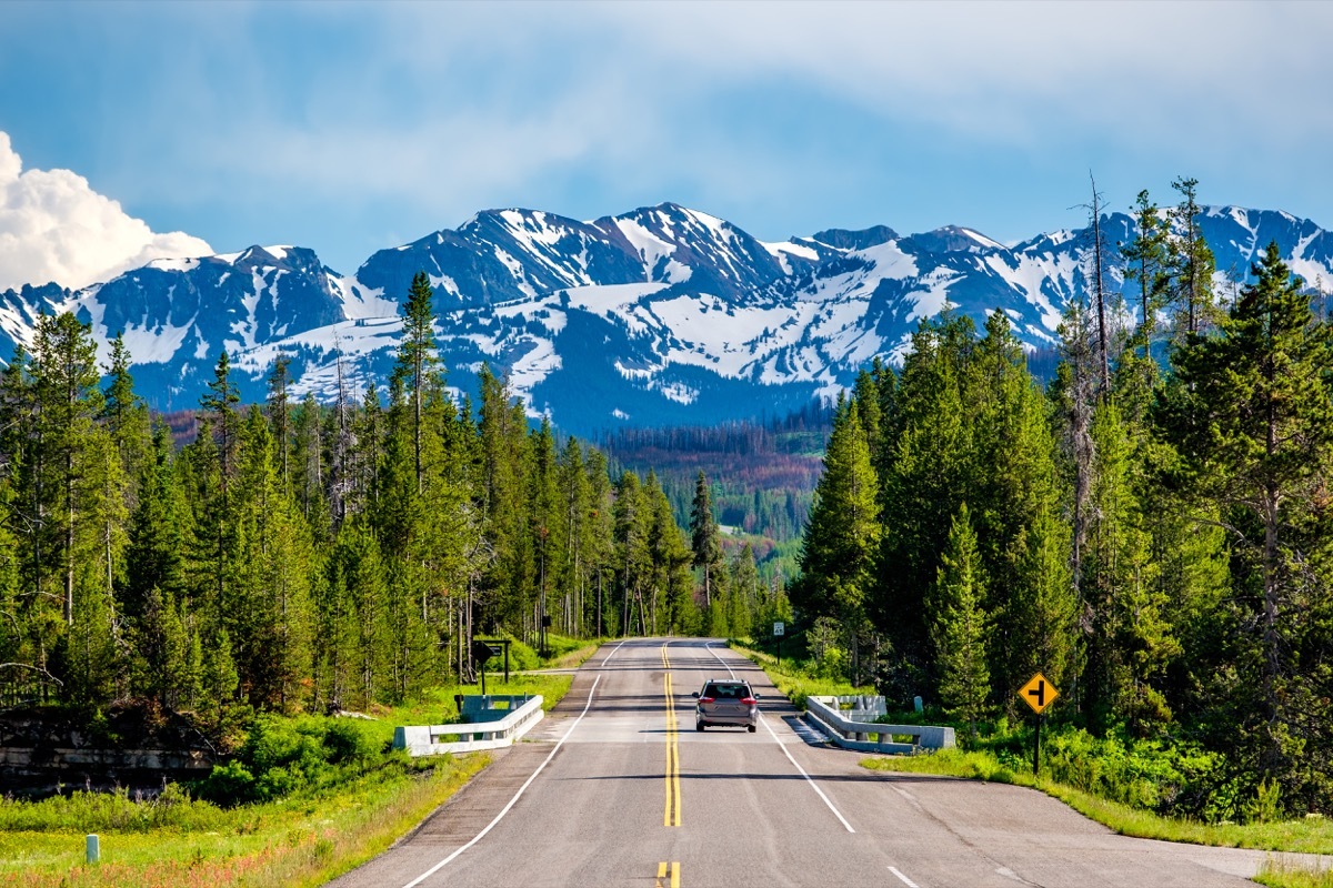 Road from Yellowstone National Park to Grand Teton National Park, Wyoming, USA - Image