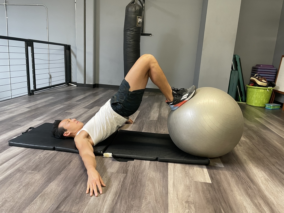 11 - stability ball leg curl