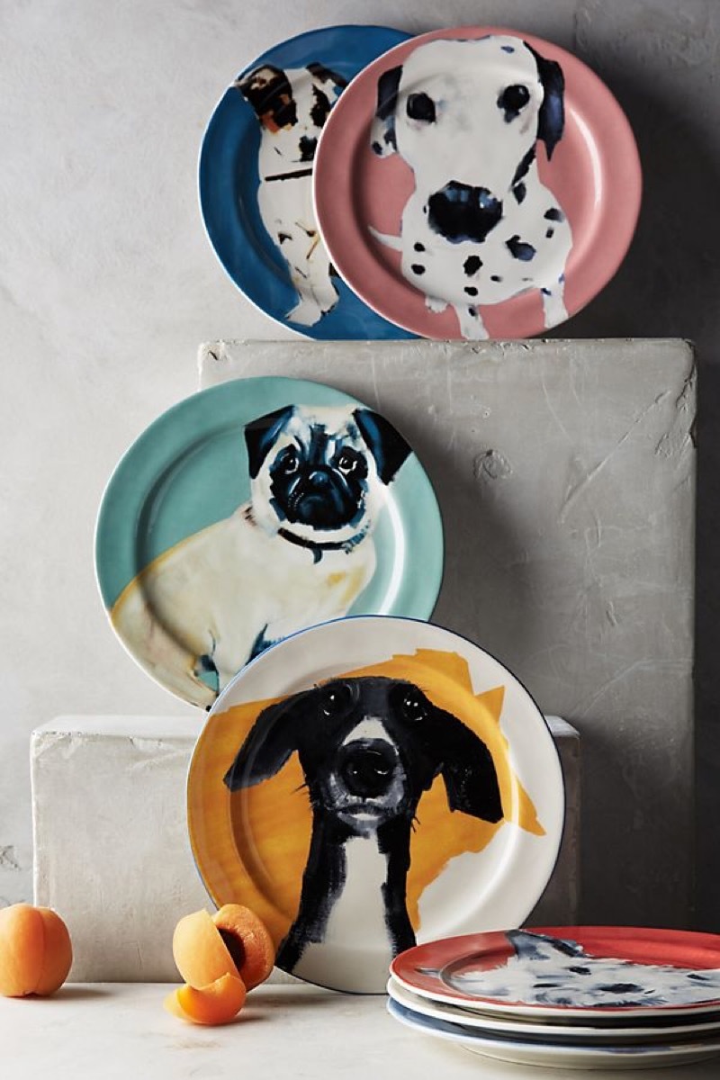 Sally Muir dog-a-day plates